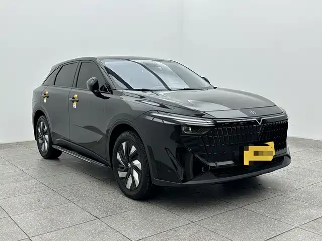 Venucia DaV DD-i 2024 2023 110km iE Edition