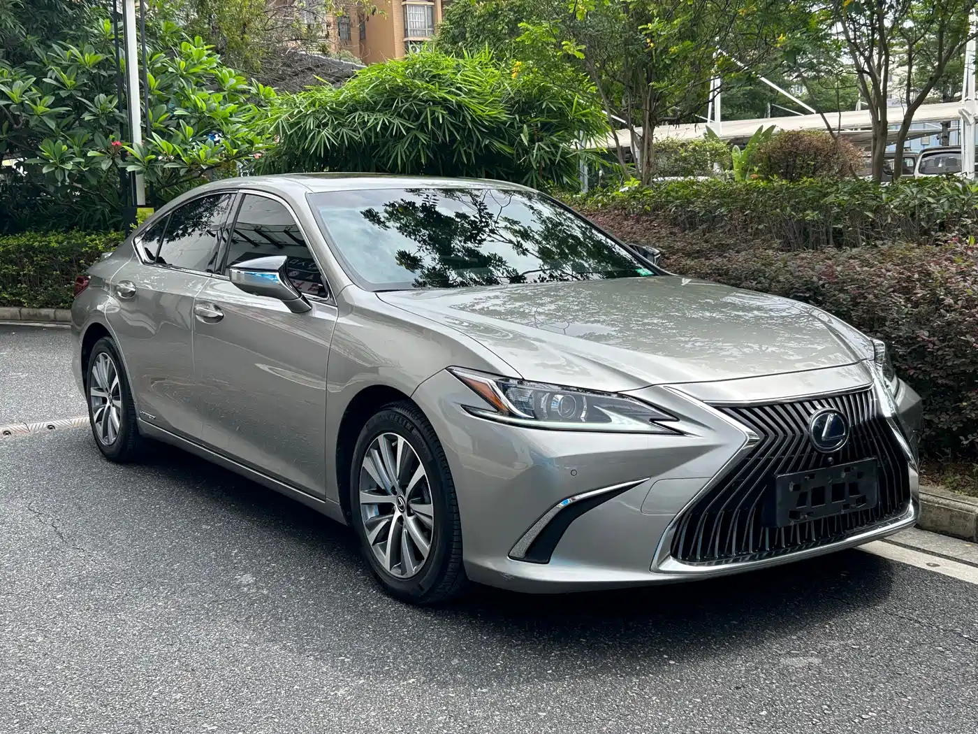Lexus ES 2018 300h Excellence Edition China V фото 3
