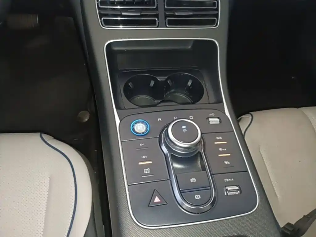 BYD Destroyer 05 2025 2024 Glory Edition DM-i 55KM Luxury