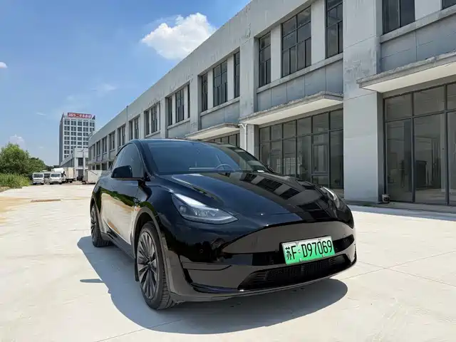 Tesla Model Y 2022 Rear-Wheel Drive Version — фото 3