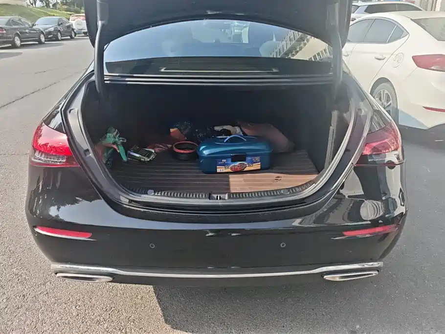 Mercedes-Benz E-Class 2023 Facelift E 300 L Luxury фото 4