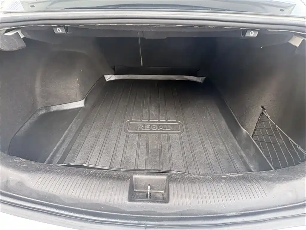 Buick Regal 2020 552T Elite фото 21