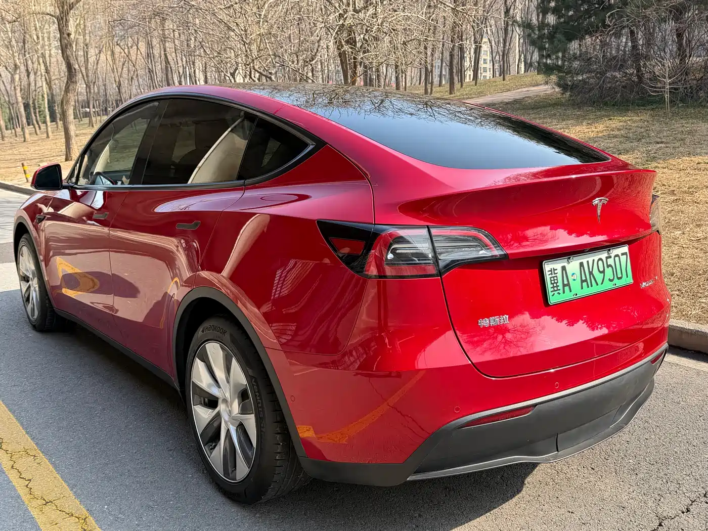 TESLA MODEL Y