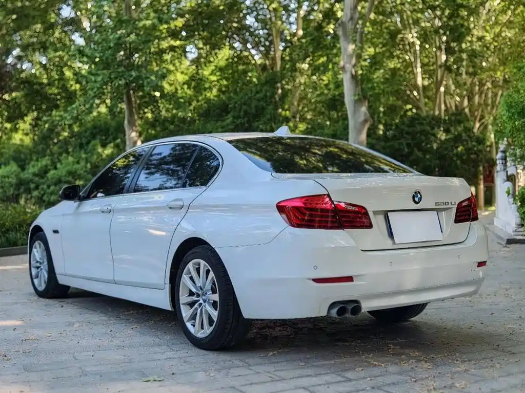 BMW 5 Series 2014 530Li Leading фото 4