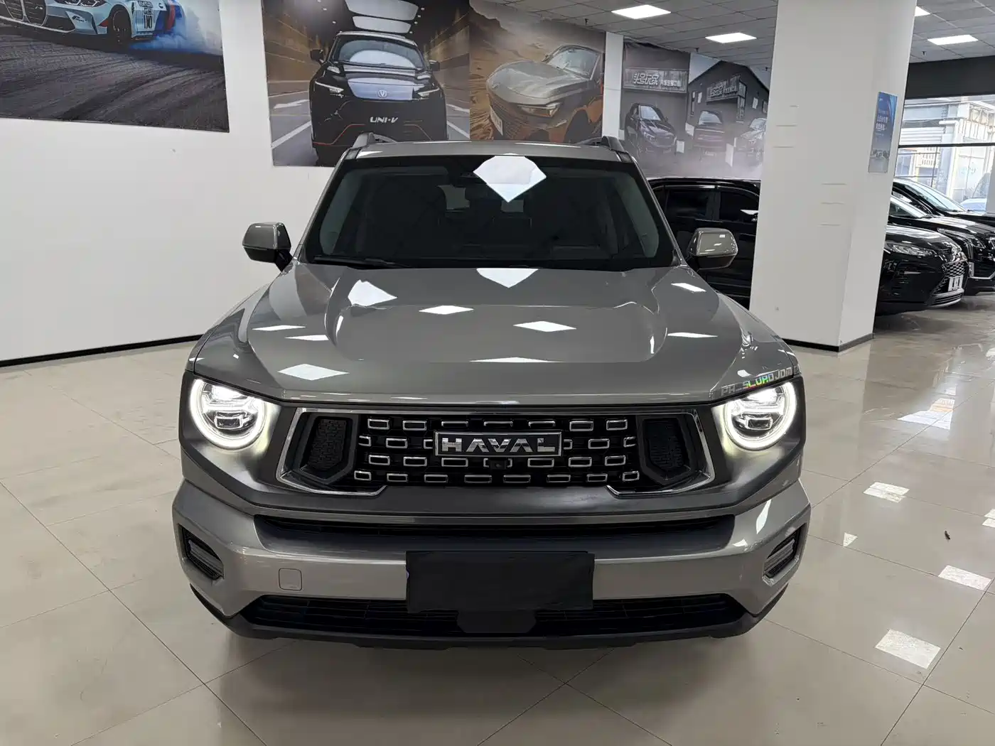 HAVAL BIG DOG