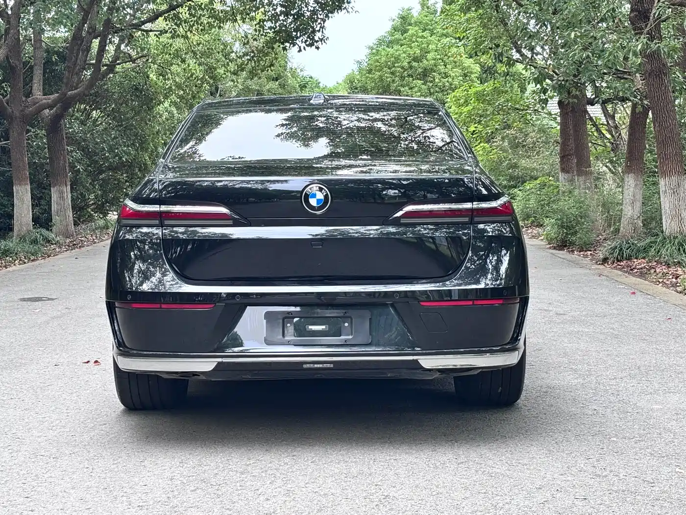 BMW 7 Series 2023 2023 Model 735Li Luxury Package