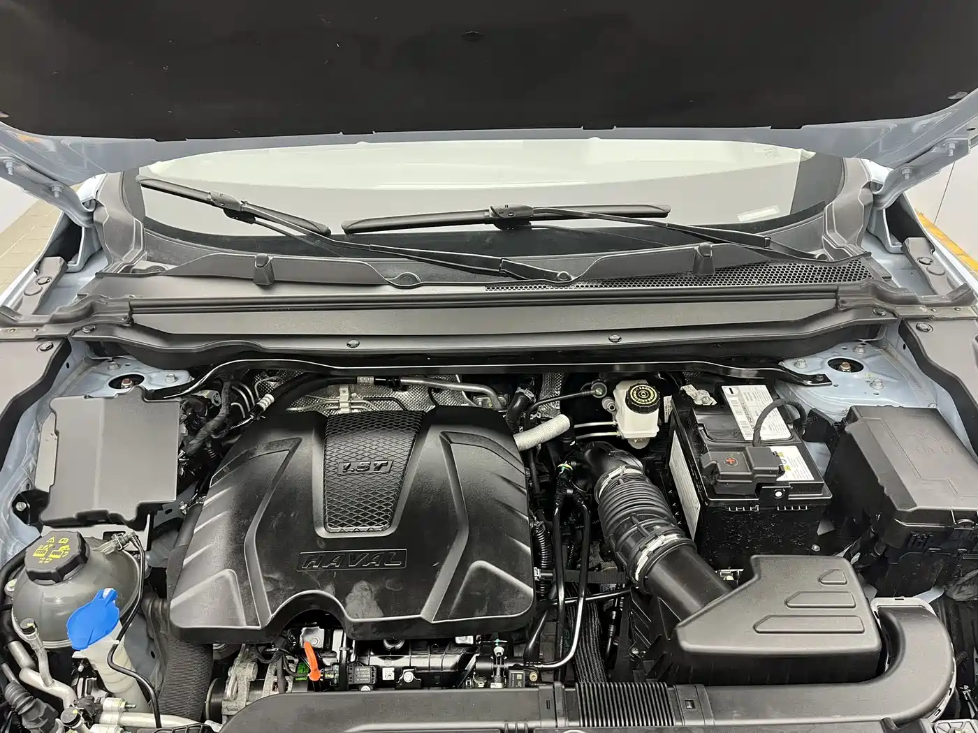 Haval Chitu 2023 2022 Power Edition 1.5T Purple Copper Rabbit
