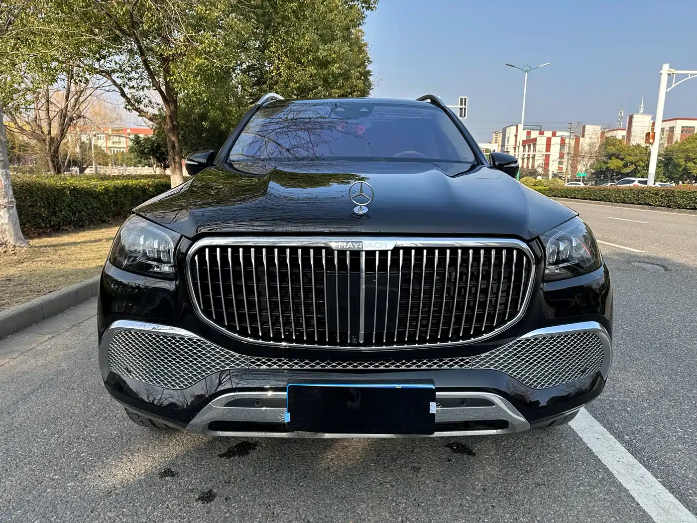 Mercedes-Benz Maybach GLS 2022 GLS 480 4MATIC фото 7