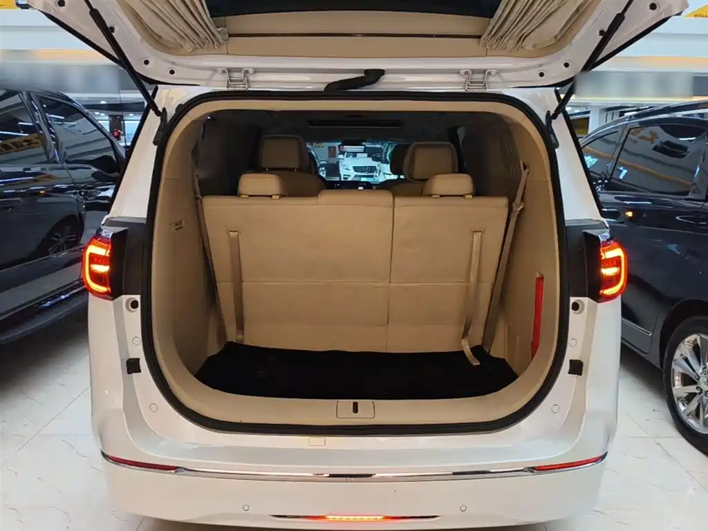 Buick GL8 2022 ES Landmark 653T Premium фото 19