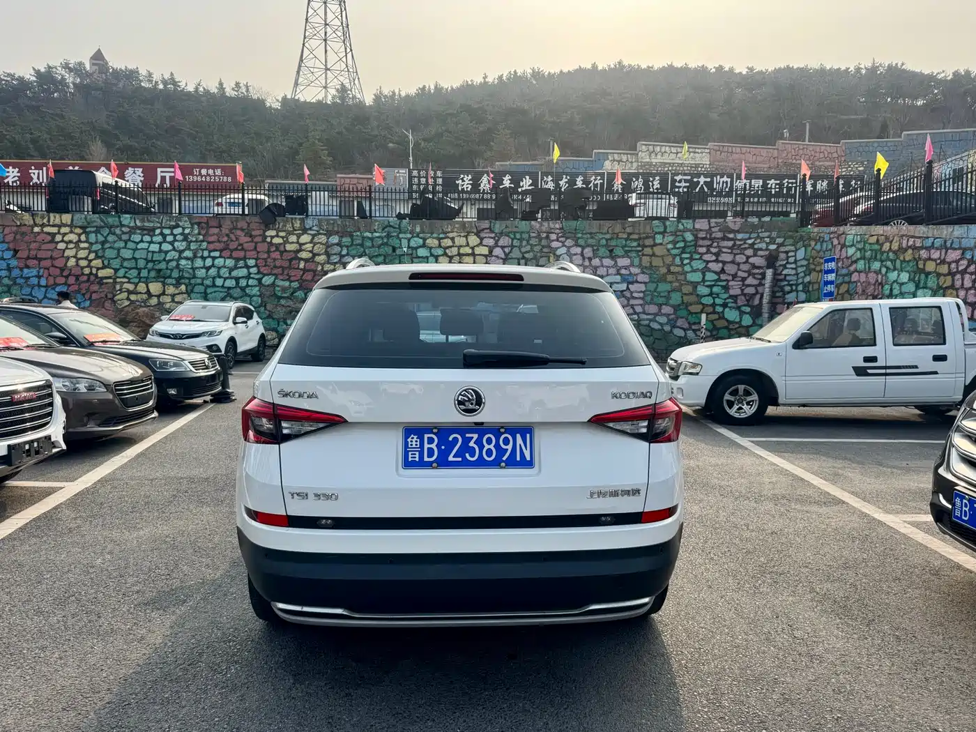 Škoda Kodiaq 2017 TSI330 7-seater 2WD Luxury Edition фото 8