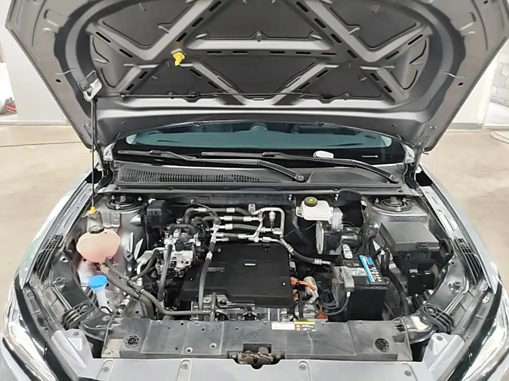 BYD e2 2024 2023 Luxury Model