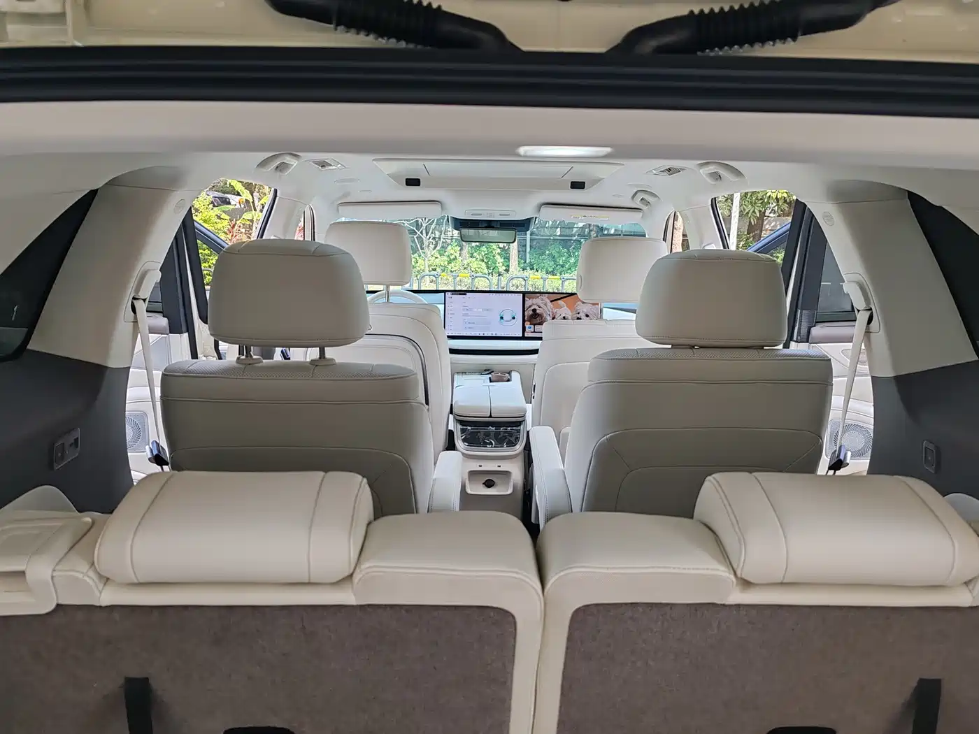 WEI PAI WEI BRAND BLUE MOUNTAIN