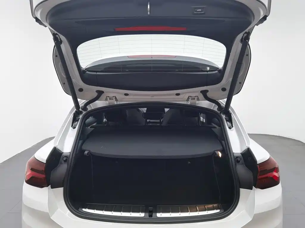 BMW X2 2022 2021 Facelift sDrive25i Shadow Night Edition
