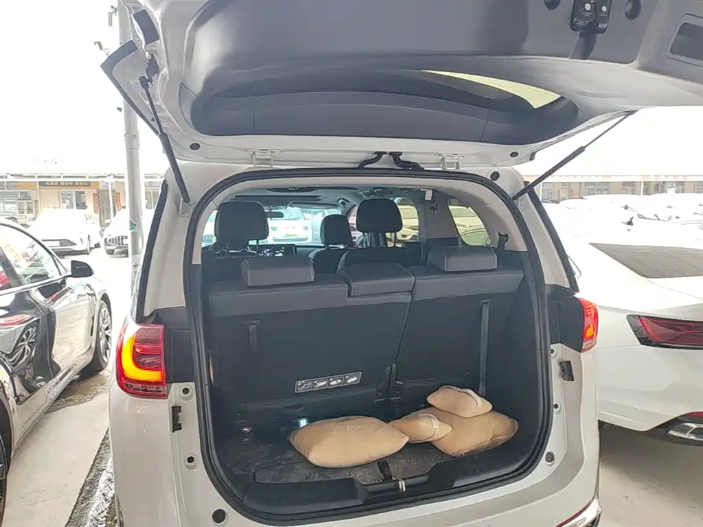 GAC Trumpchi Trumpchi M8 2024 Leadershow Series 390T Luxury Edition фото 19