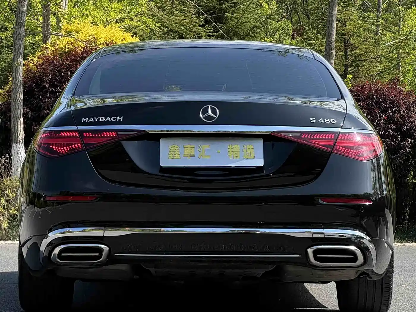 Mercedes-Benz Maybach S-Class 2022 S 480 4MATIC Intelligent Premium Special Edition фото 9