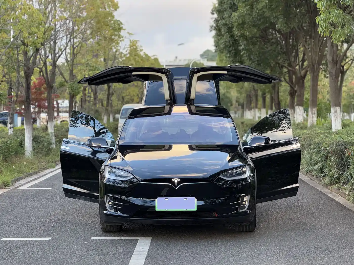 TESLA MODEL X