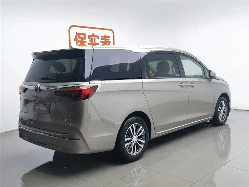 Buick GL8 2023 ES Landmaster Comfort фото 2