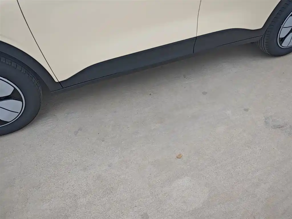 Geely Galaxy Starry Wish 2026 Edition 310km Youth Version фото 22