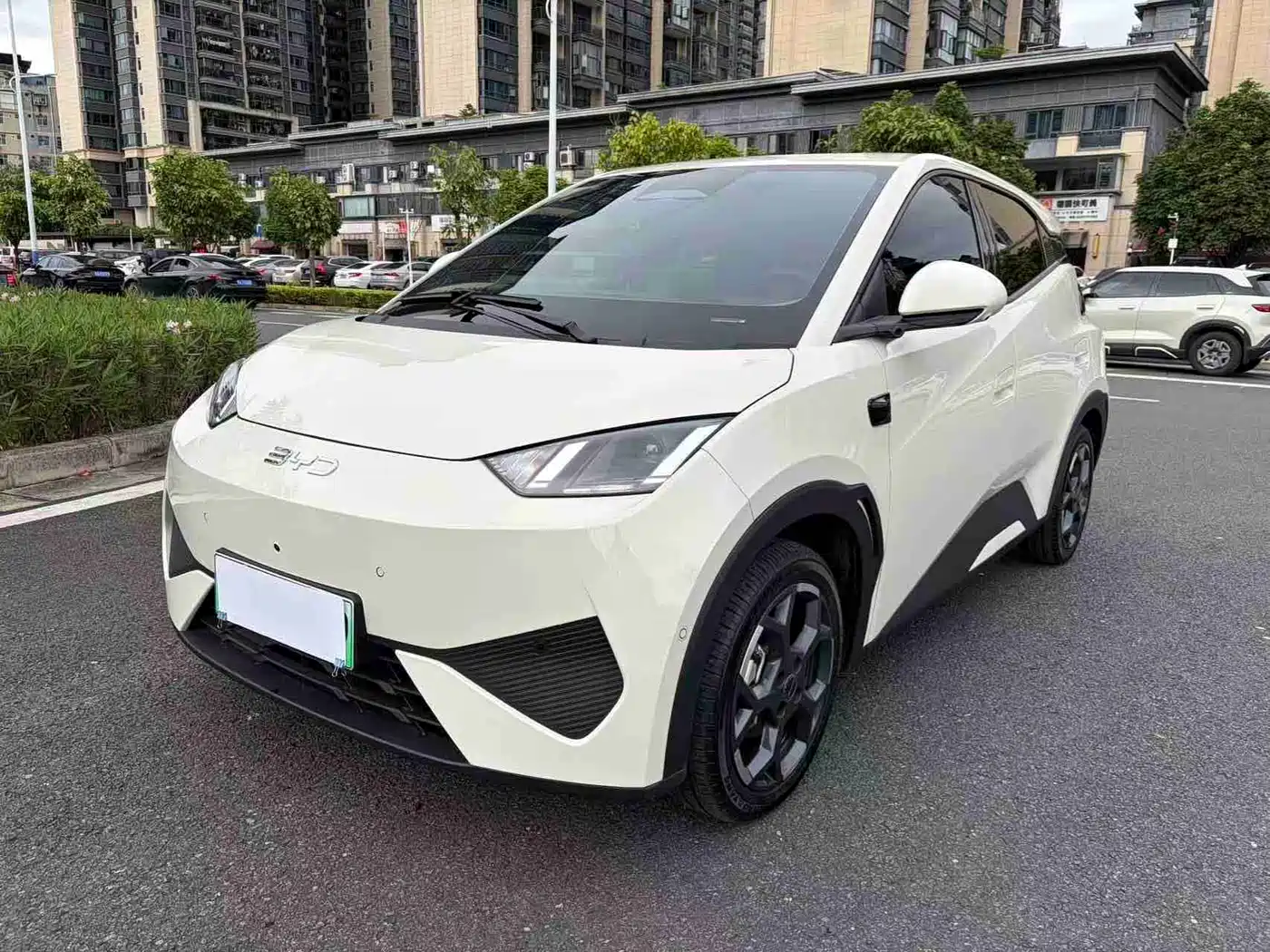 BYD Seagull 2026 2025 Smart Drive Edition 305km Freedom Version