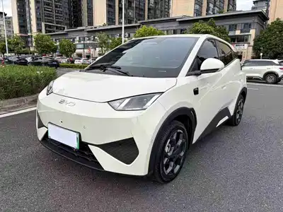 BYD Seagull