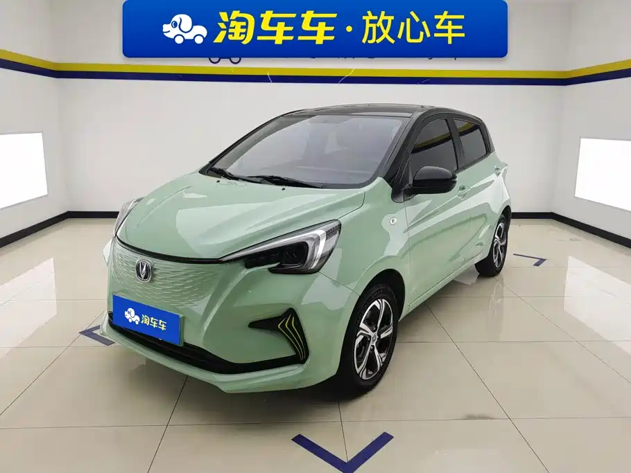 Фото 1 - Changan Benben E-Star