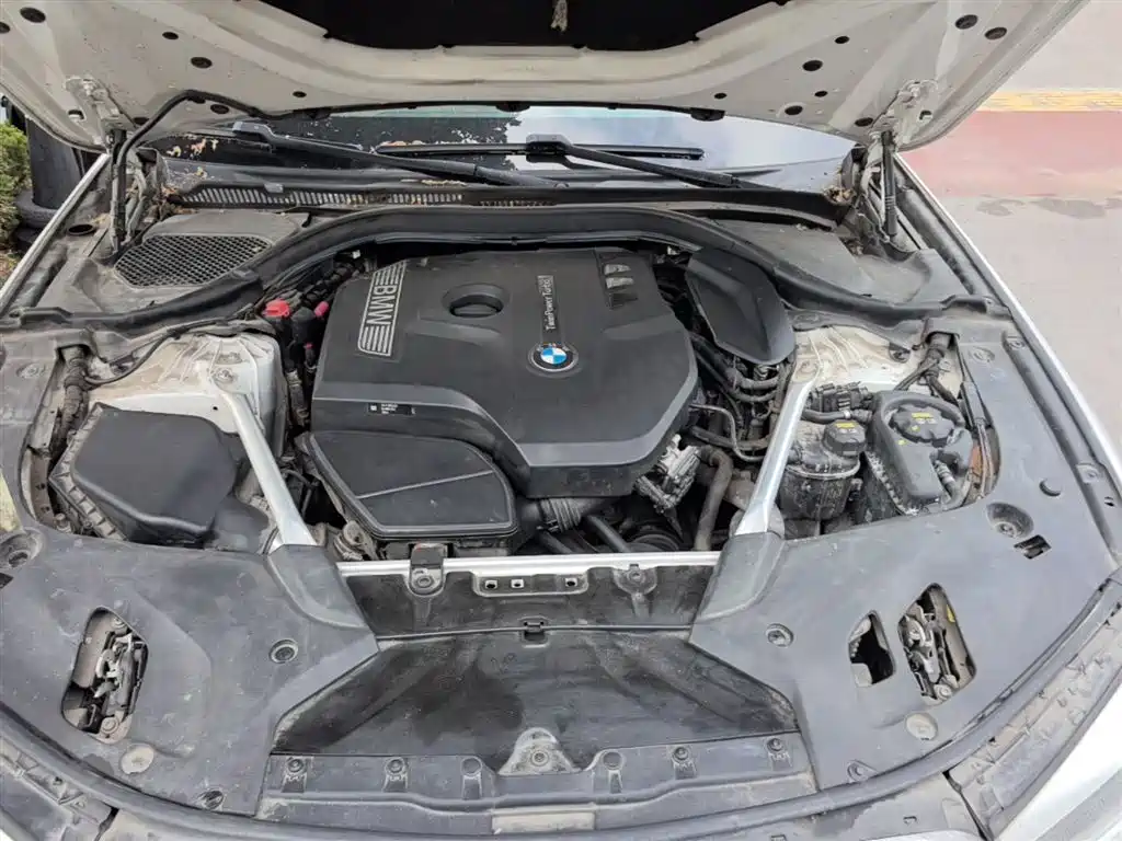 BMW 5 Series 2020 525Li Luxury Package фото 20