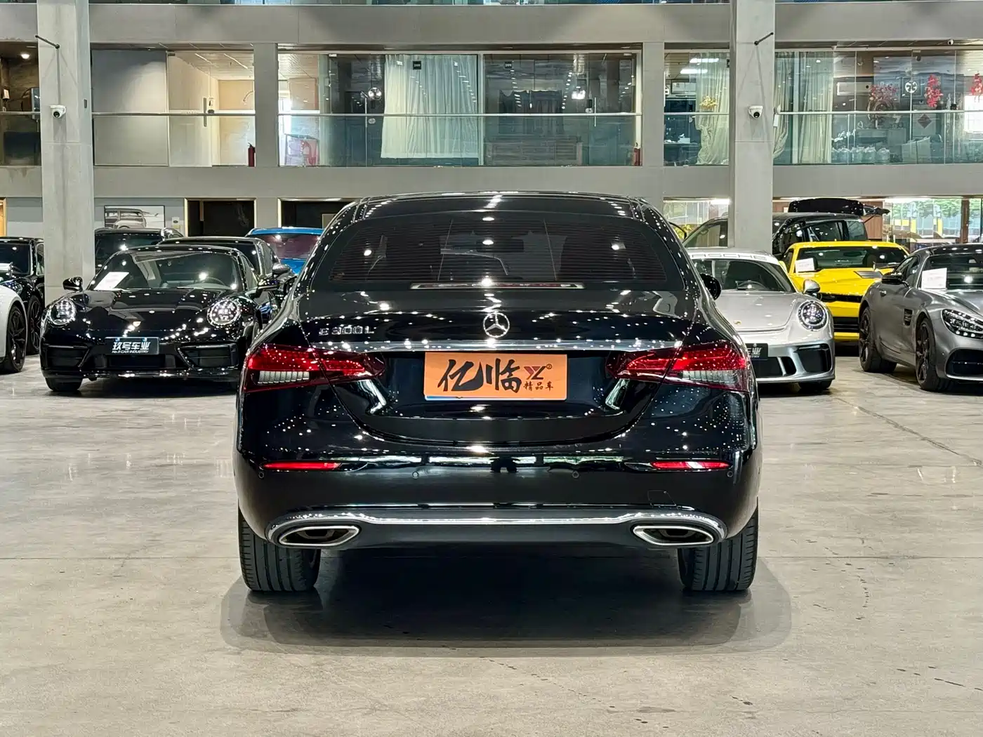 Mercedes-Benz E-Class 2023 Facelift E 300 L Luxury фото 14