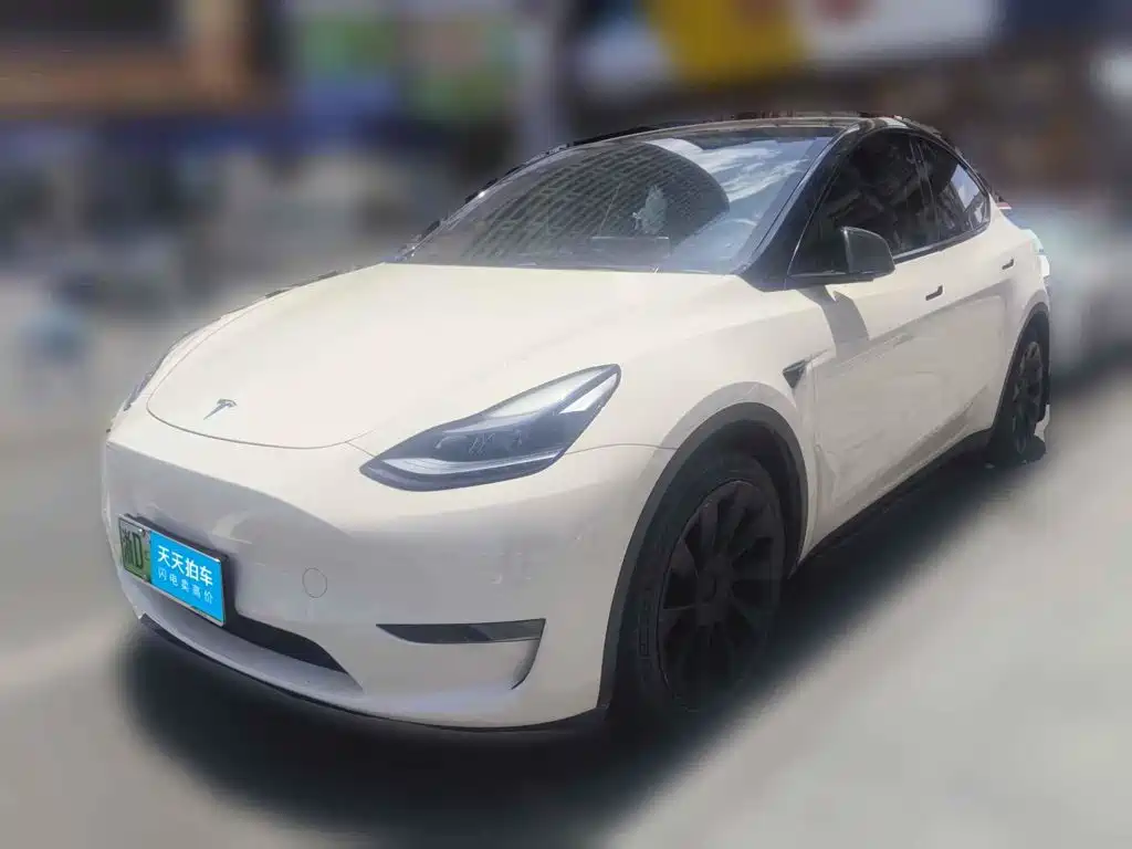 Tesla Model Y 2021 Standard Range Rear-Wheel Drive