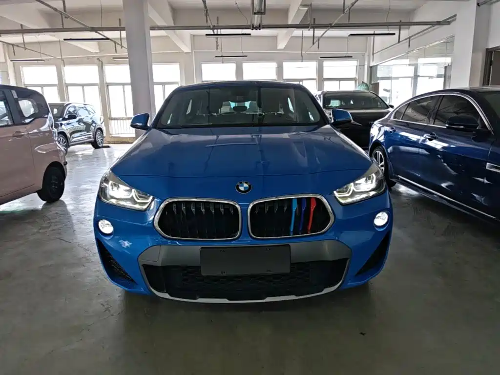 BMW X2 (Import) 2019 2019 sDrive20i M Off-Road Package China VI