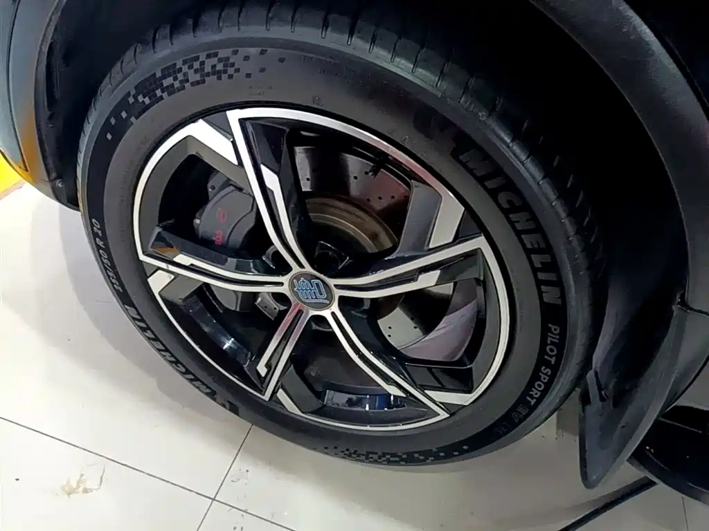 BYD Tang New Energy 2021 DM 2.0T AWD High Performance Premium фото 23