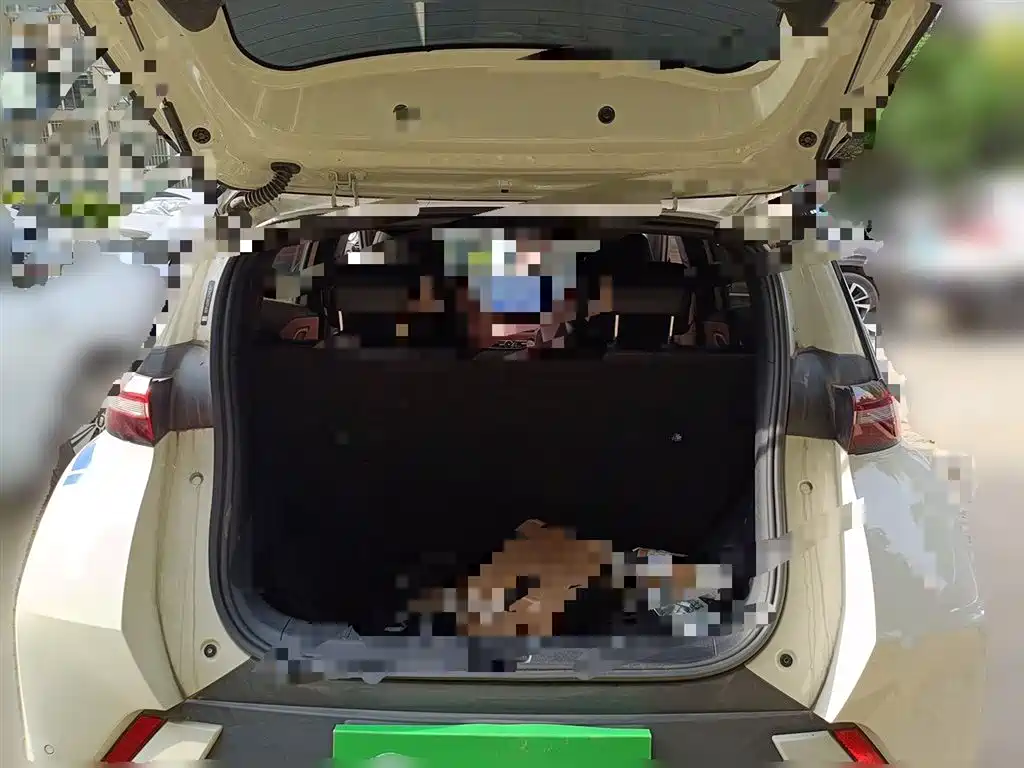 BYD Seagull 2024 Glory Edition 305km Vitality Edition фото 15