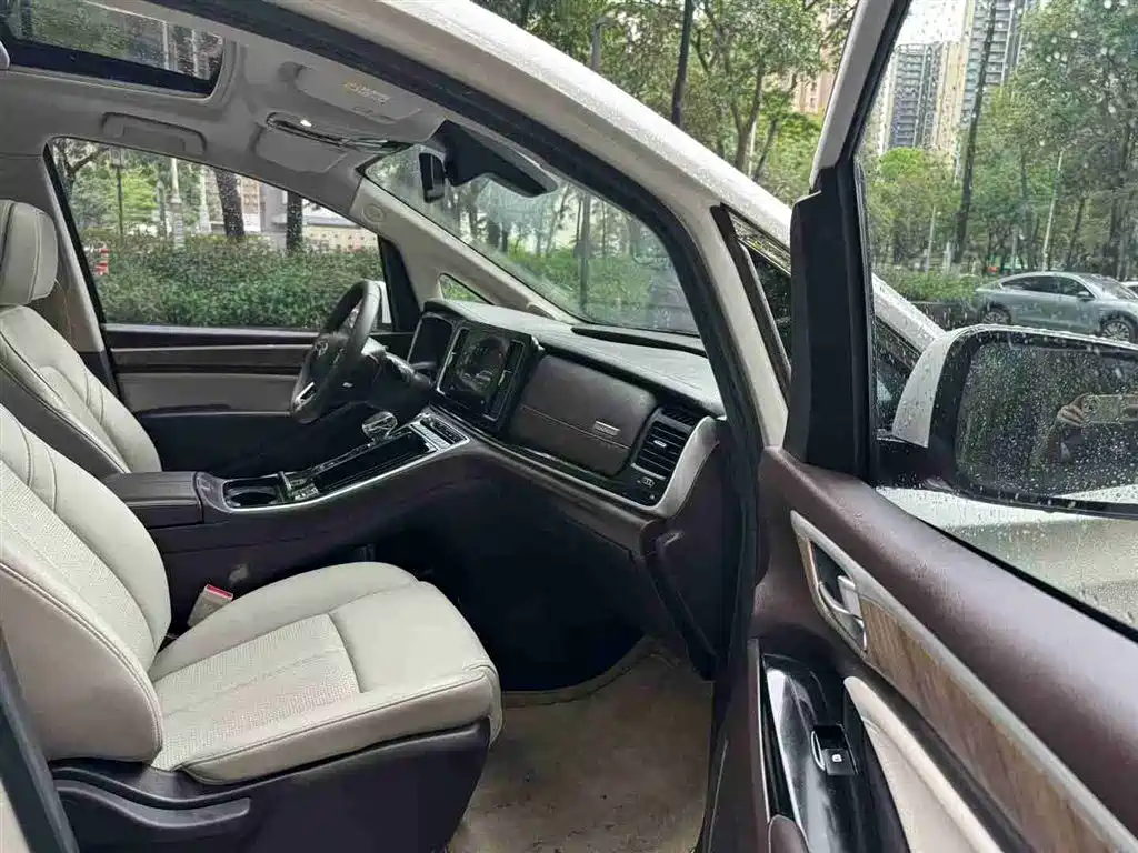 GAC Trumpchi Trumpchi M8 2021 Leading Show Series 390T Prestige Edition фото 8