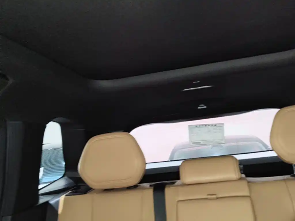 Lynk & Co 09 EM-P 2023 2.0TD EM-P AWD Asian Games Executive Edition 5-Seater фото 18