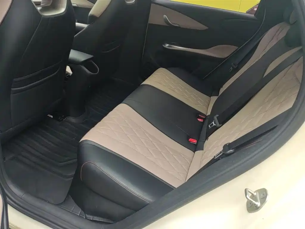 BYD Dolphin 2021 Model 405km Fashion Edition фото 17