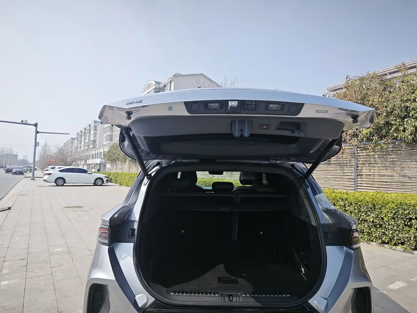 ARCFOX EXTREME FOX POLAR FOX ALPHA T