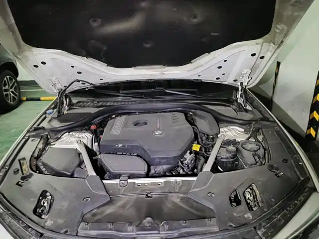 BMW 5 Series 2020 530Li Leading M Sport Package — фото 3