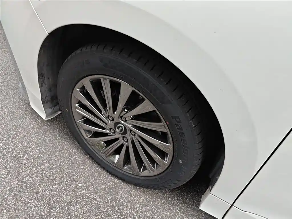 GAC Trumpchi Trumpchi M8 2021 Master Series 390T Ultimate Edition фото 16