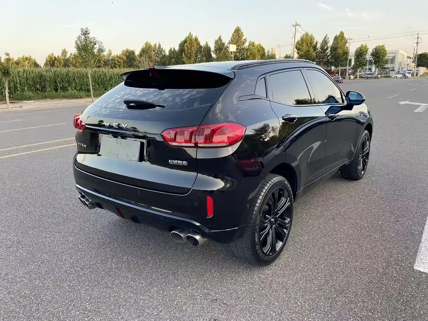 WEY VV5 2017 2017 2.0T Flagship Model