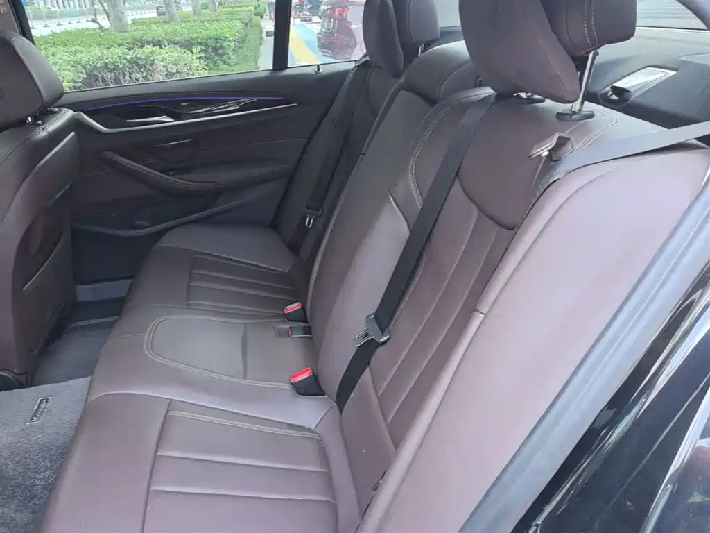 BMW 5 Series 2020 525Li Luxury Package фото 17