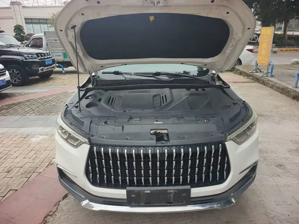Leopaard Mattu 2018 2018 1.6T GDI DCT Elite