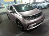 Фото 22 - BYD Dolphin