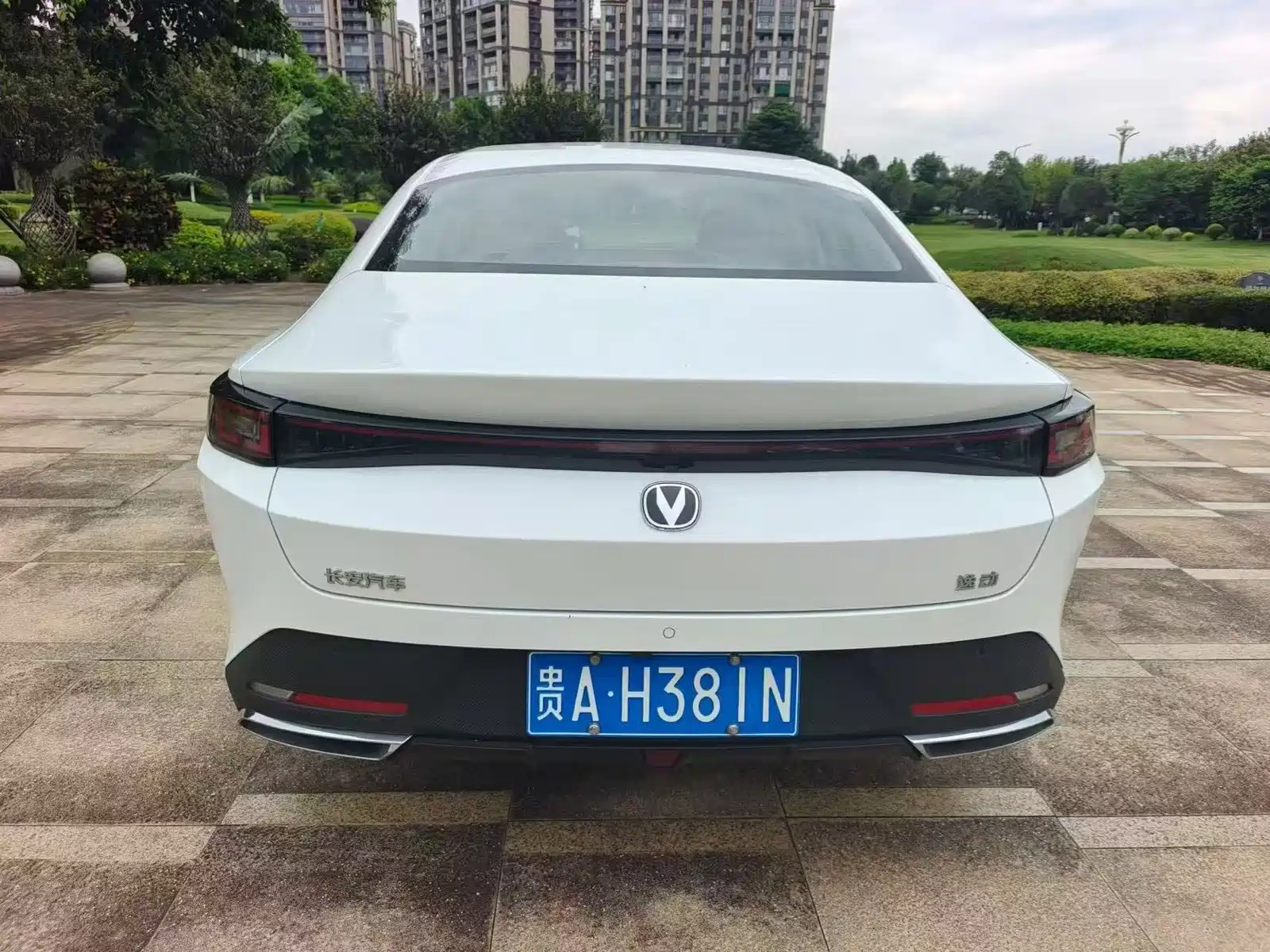 صورة 8 - Changan Eado