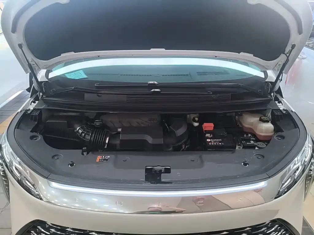 Buick Century 2025 2025 2.0T 7-Seater World Edition