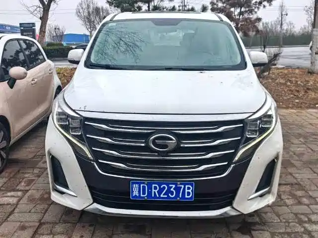 GAC Trumpchi Trumpchi M8 2020 Pilot 390T Luxury Edition фото 2
