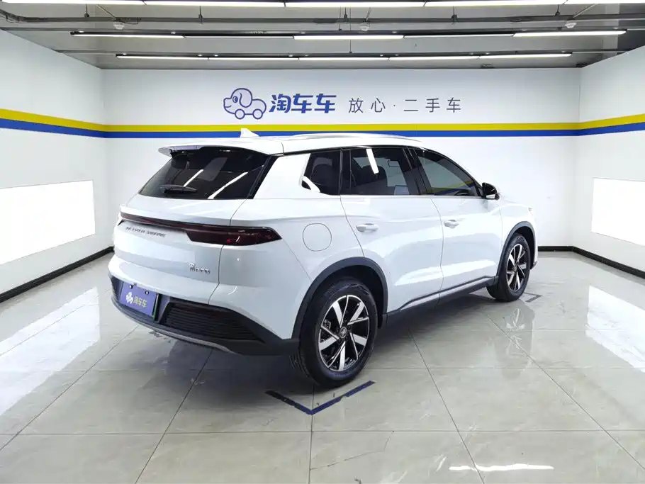 BYD Song Pro New Energy 2024 Glory Edition DM-i 110KM Surpassing фото 3