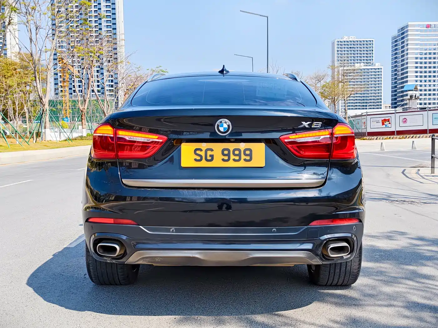 BMW X6 2017 xDrive35i Leading фото 9