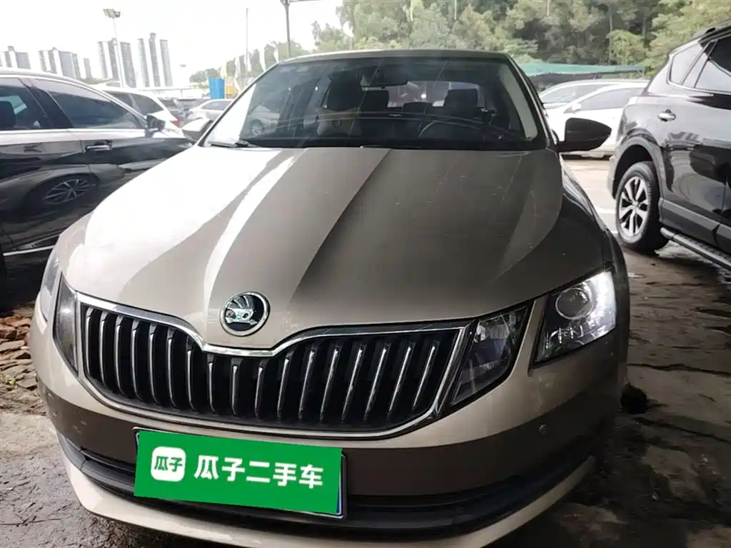 Škoda Octavia 2019 TSI230 DSG Zhixing Comfort Edition China VI фото 3