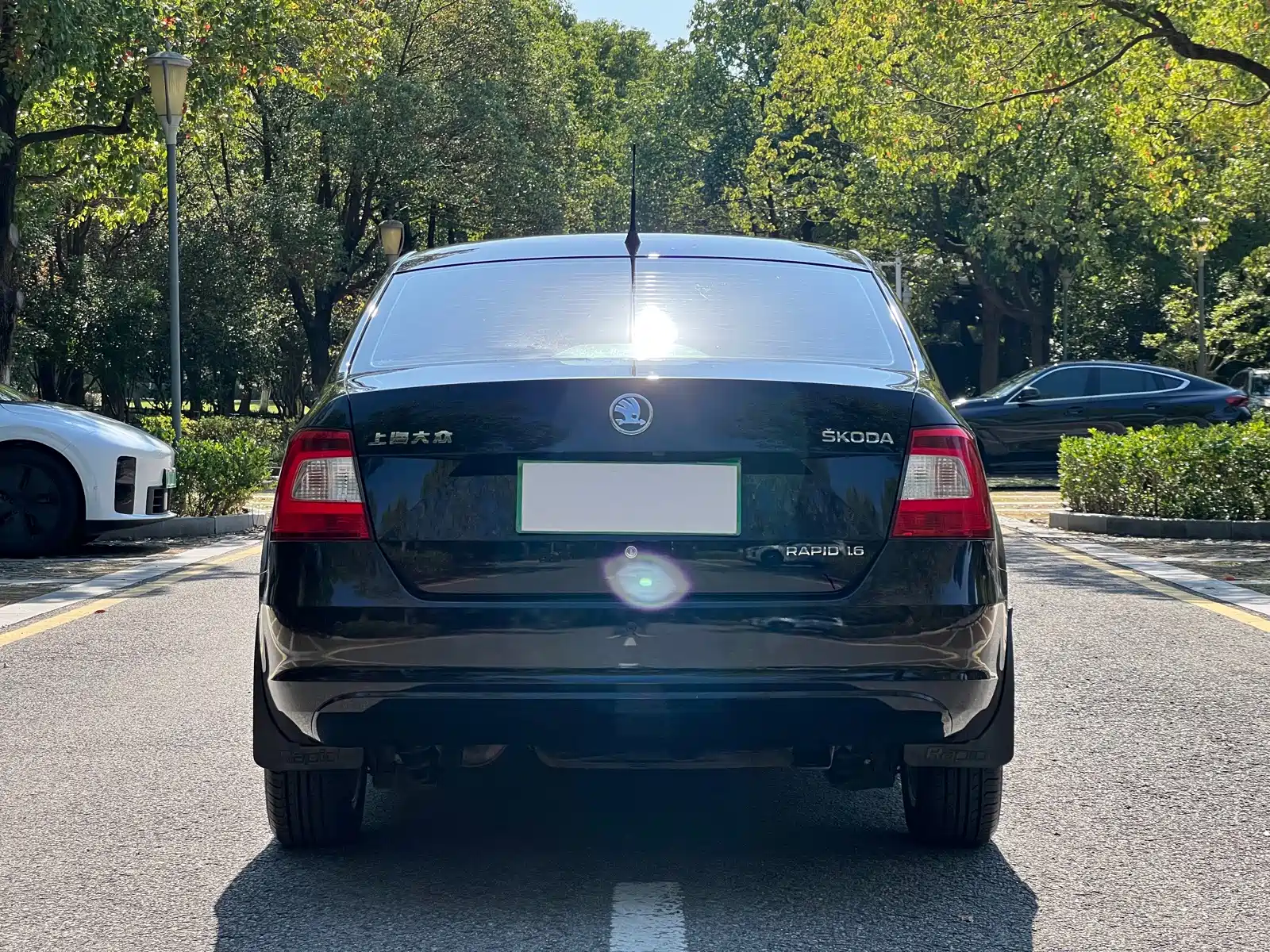 صورة 4 - Škoda Rapid