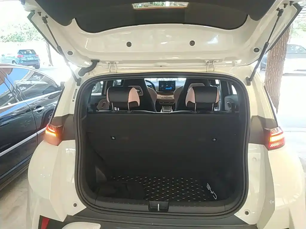 BYD Seagull 2026 2025 Smart Drive Edition 305km Vitality Version