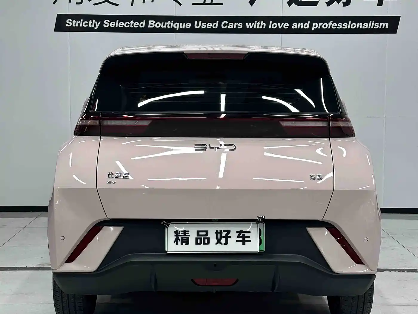 BYD Seagull 2023 Freedom Edition фото 4